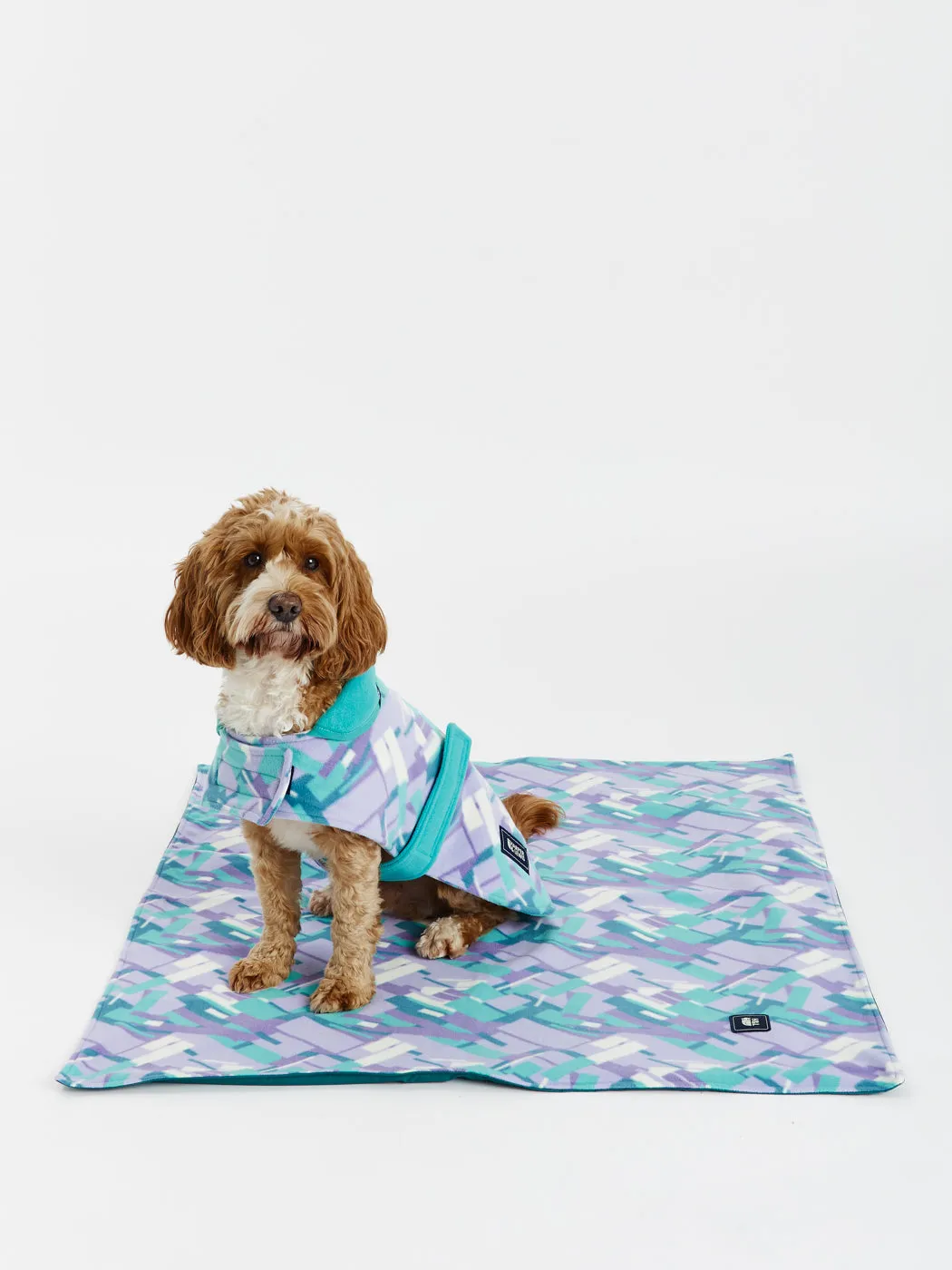 Neve Dogs Fleece Blanket